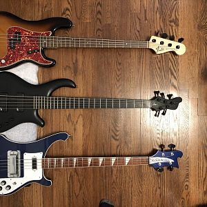 Mayones,Rickenbacker,Precision