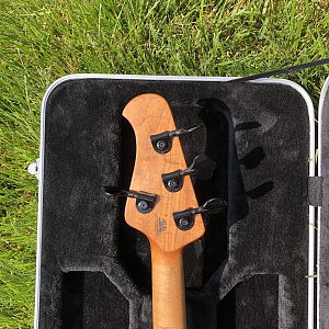 Stingray Special Blacked out with Ebony Board on Roasted Flamed Maple