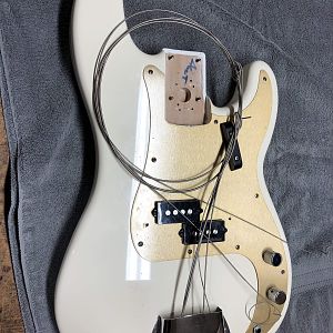 Fender body