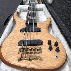 Alembic Orion w/quilted maple top & Ebony Board