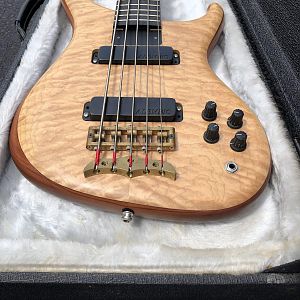 Alembic Orion w/quilted maple top & Ebony Board