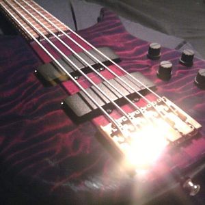 Peavey Cirrus custom shop five string fretless.