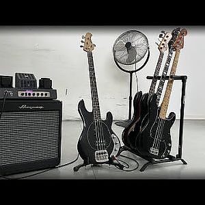 AMPEG Portaflex T-50 & PF112HFL - 4 Basses Comparison - YouTube