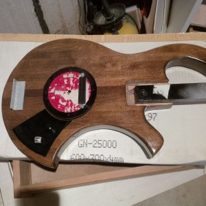 Pickguard test 12 inch LP 2 pc