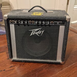 Peavey Backstage 50