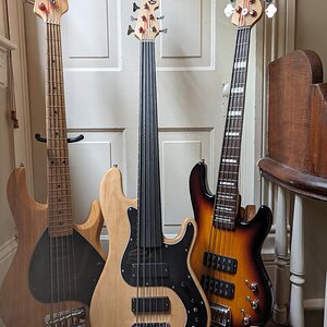 All 3 of my basses