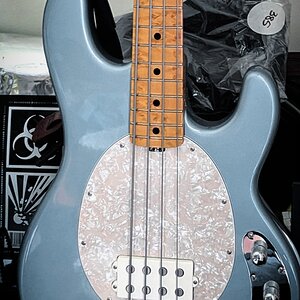 Pearloid pickguard