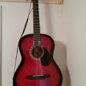 Rogue 7/8 scale acoustic guitar.