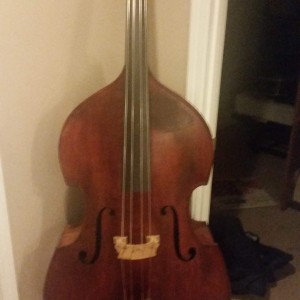 ? Flatback Bass 2