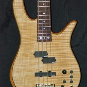 Fodera Victor Wooten Monarch Classic