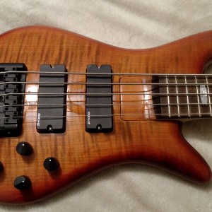 Spector ReBop DLX 5