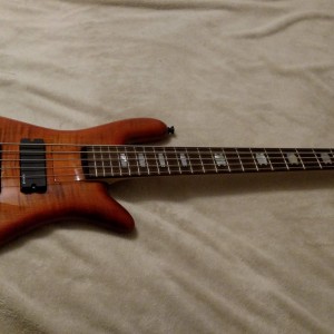 Spector ReBop DLX 5