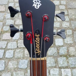 Spector NS2 CTB headstock