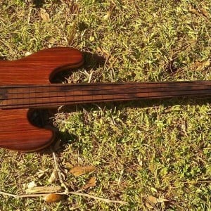 eddododo fretless