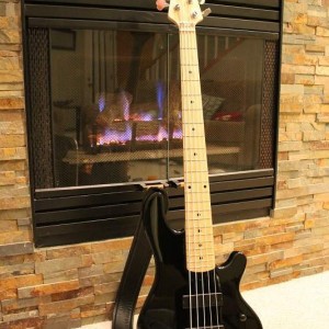 2013 Lakland 55-01