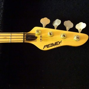 '92 Peavey Fury