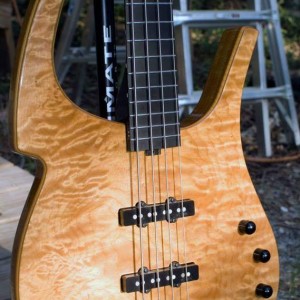 Parker Fly Bass, body shot