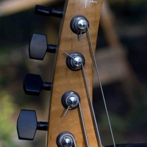 Park Fly Bass, headstock